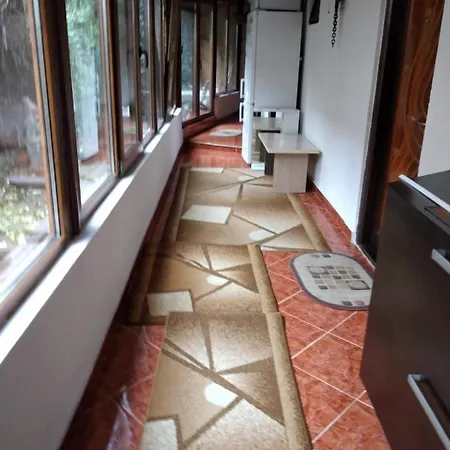 Ada-Ini House Villa Craiova Exterior photo