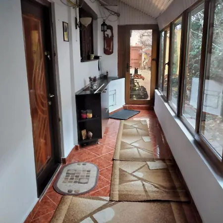 Ada-Ini House Villa Craiova Exterior photo
