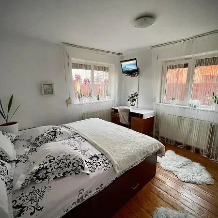 Ada-Ini House Villa Craiova Exterior photo